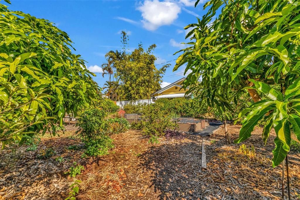 For Sale: $648,000 (3 beds, 2 baths, 1686 Square Feet)