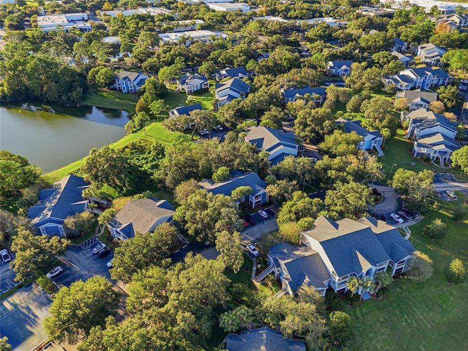 For Rent: $1,780 (2 beds, 1 baths, 819 Square Feet)