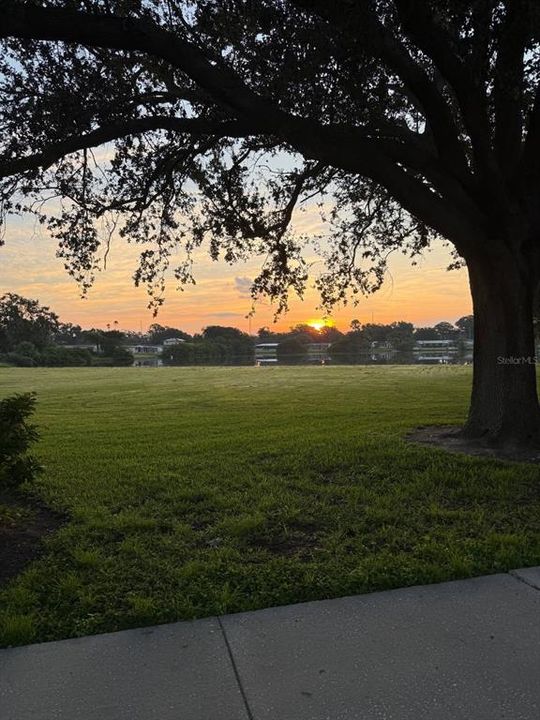 Под контрактом: $299,000 (2 спален, 1 ванн, 1061 Квадратных фут)