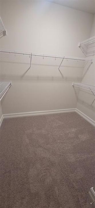 出租: $2,345 (3 贝兹, 2 浴室, 1898 平方英尺)