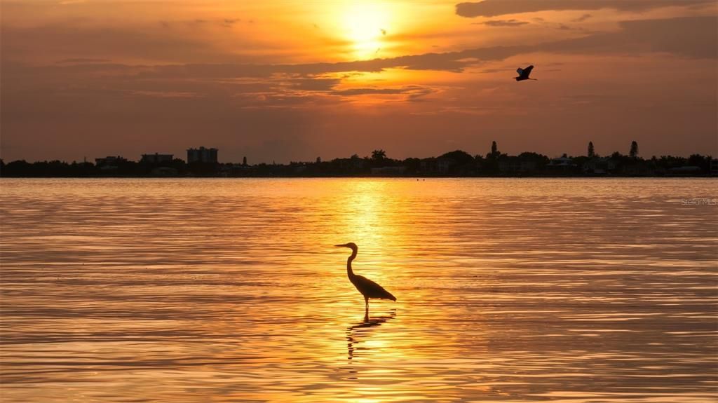 待售: $6,185,000 (3 贝兹, 3 浴室, 3417 平方英尺)