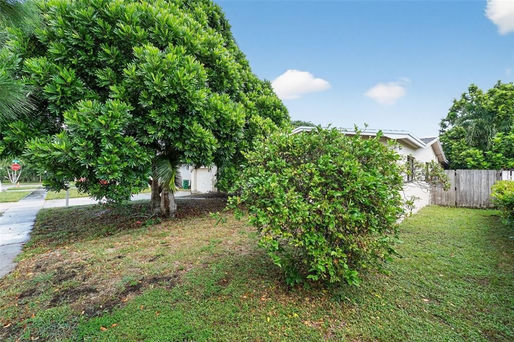 For Sale: $529,900 (3 beds, 2 baths, 1895 Square Feet)