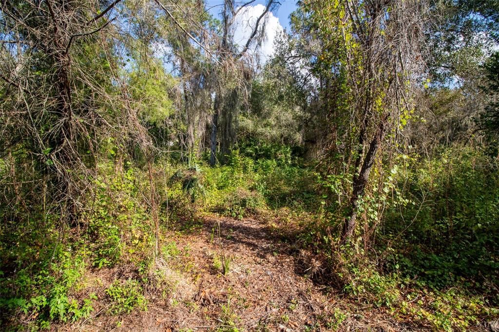 For Sale: $95,000 (1.07 acres)