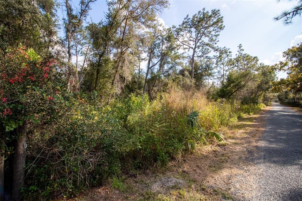 For Sale: $95,000 (1.07 acres)