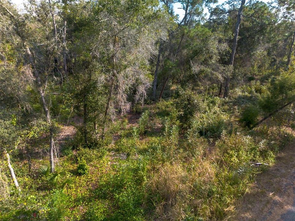 For Sale: $95,000 (1.07 acres)