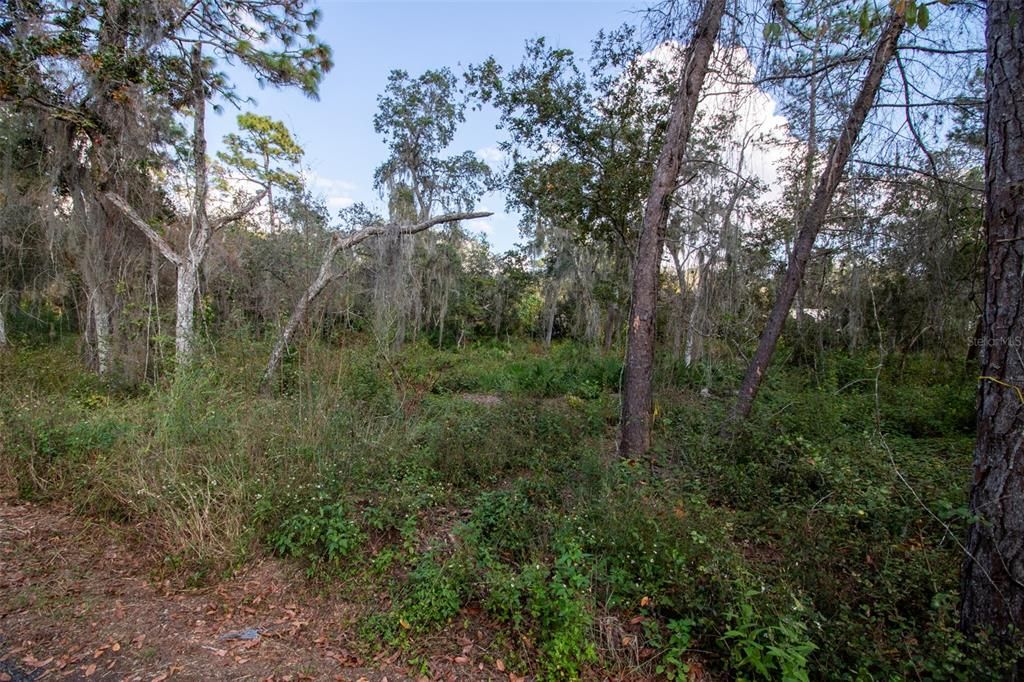 For Sale: $95,000 (1.07 acres)