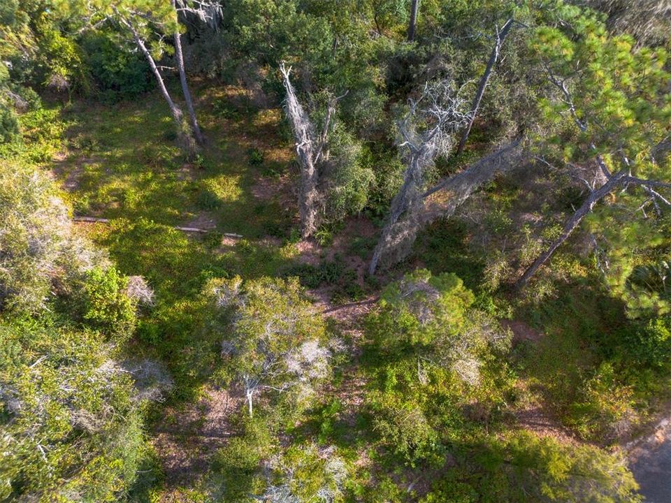 For Sale: $95,000 (1.07 acres)