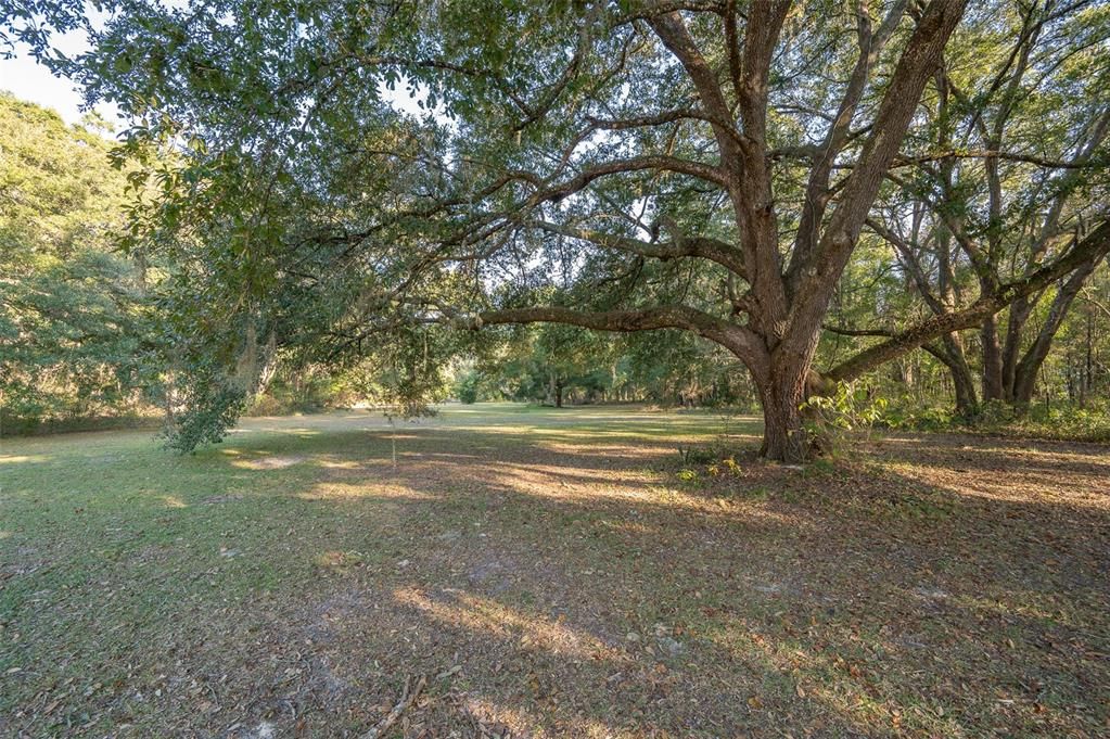 待售: $375,000 (3 贝兹, 2 浴室, 1633 平方英尺)