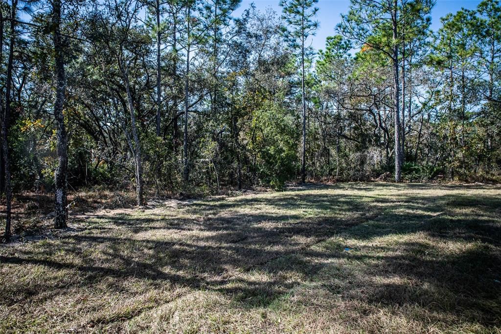 待售: $399,000 (3 贝兹, 2 浴室, 1902 平方英尺)