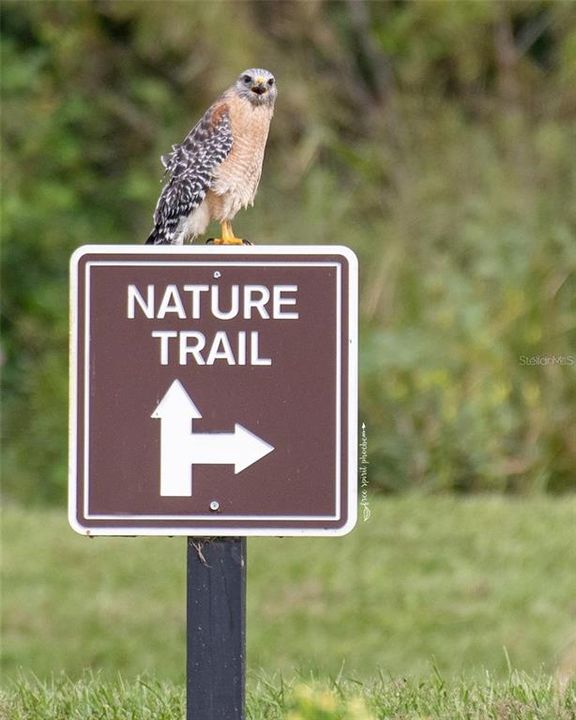 待售: $2,150,000 (5 贝兹, 4 浴室, 4478 平方英尺)