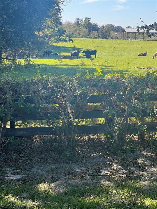 待售: $379,000 (3 贝兹, 2 浴室, 1527 平方英尺)