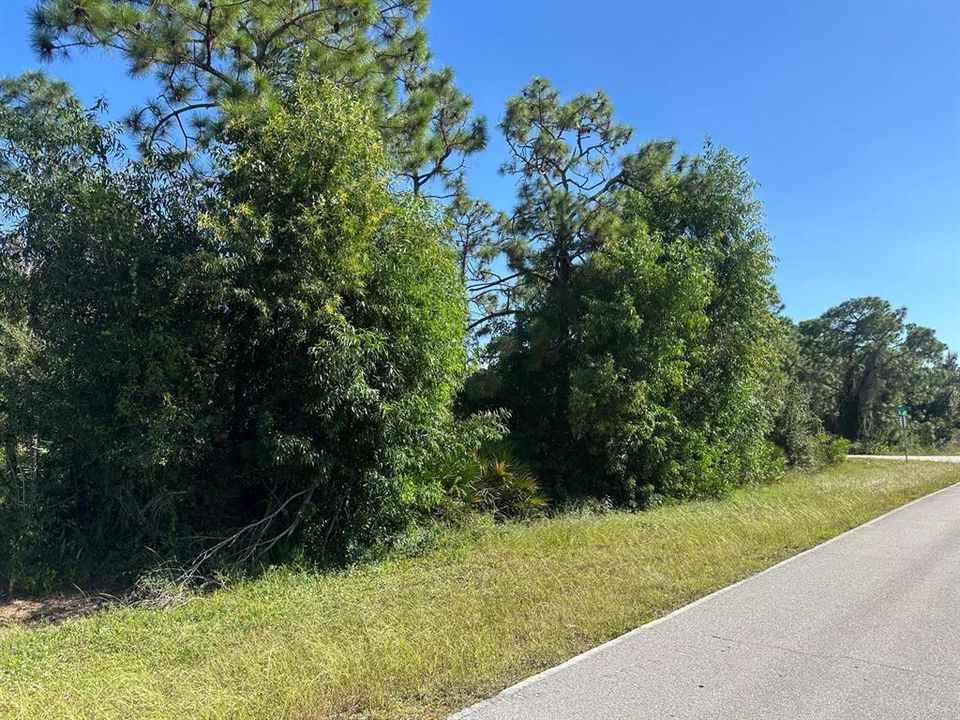 На продажу: $23,000 (0.21 acres)