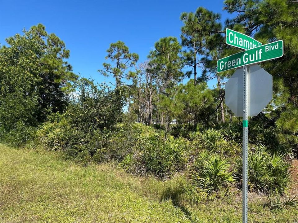 На продажу: $23,000 (0.21 acres)