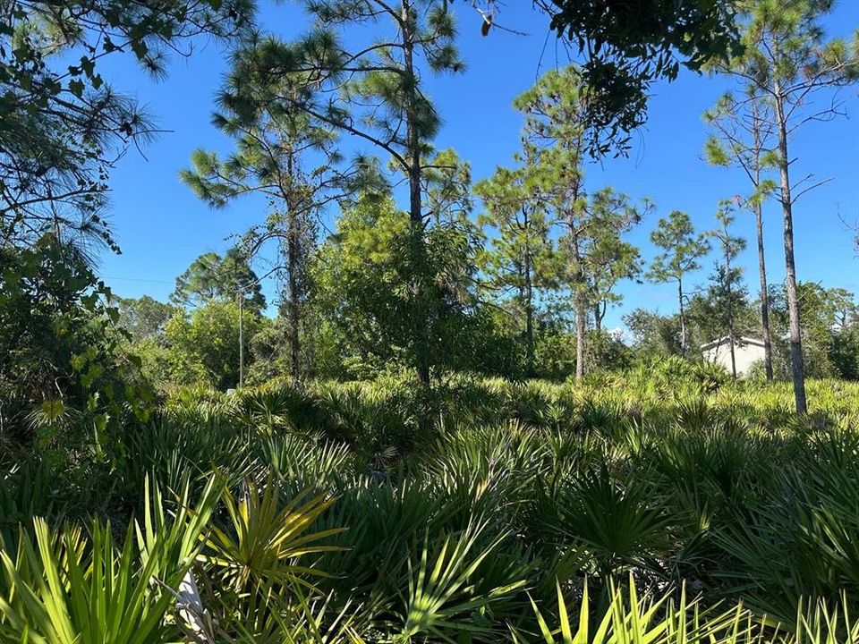 На продажу: $23,000 (0.21 acres)