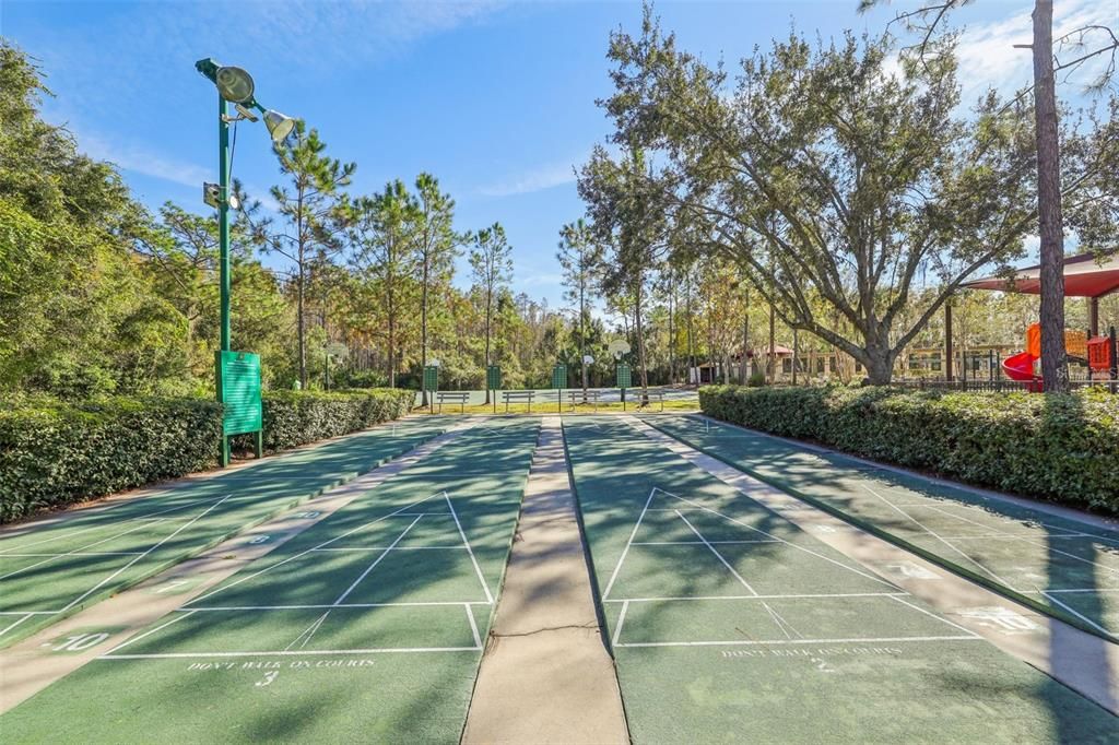 На продажу: $229,999 (2 спален, 2 ванн, 1161 Квадратных фут)