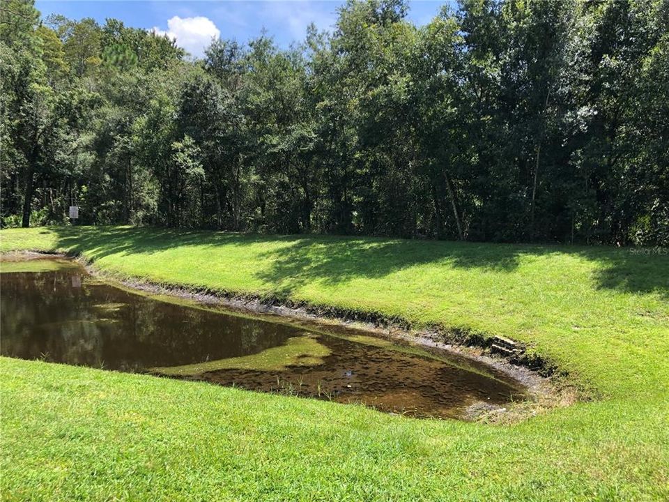 В аренду: $1,700 (2 спален, 2 ванн, 979 Квадратных фут)