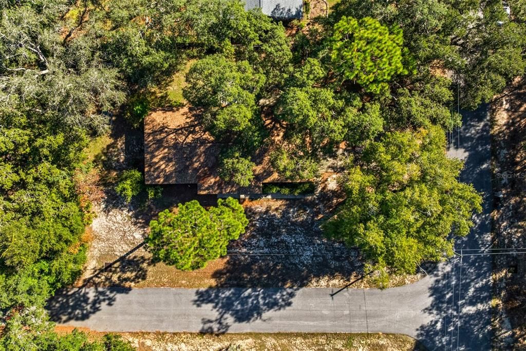 待售: $265,000 (3 贝兹, 2 浴室, 1365 平方英尺)