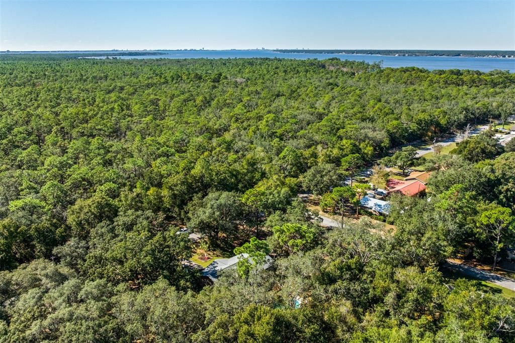 待售: $265,000 (3 贝兹, 2 浴室, 1365 平方英尺)