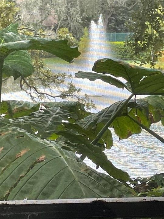 For Rent: $2,300 (2 beds, 2 baths, 1173 Square Feet)