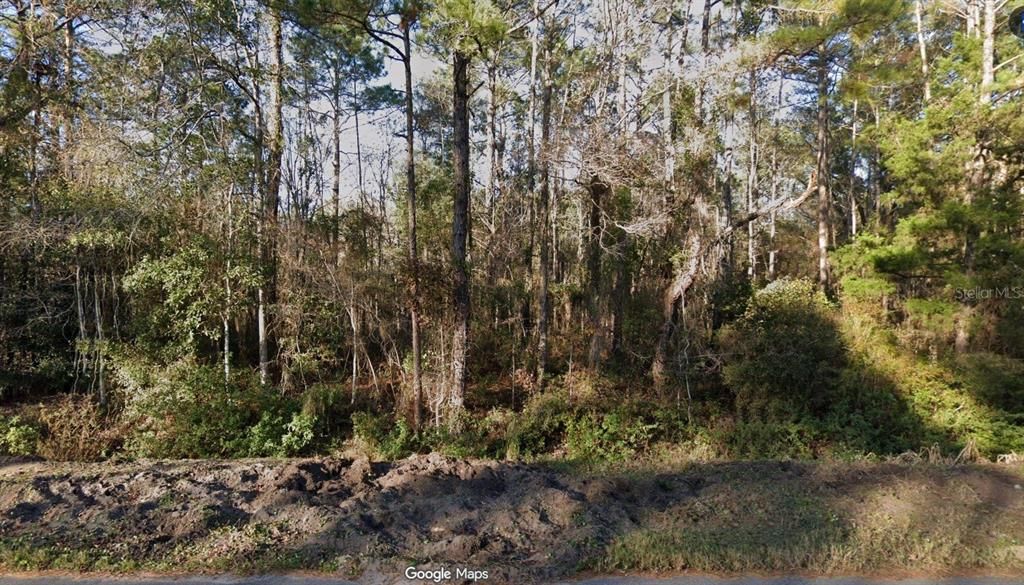 For Sale: $30,000 (1.10 acres)