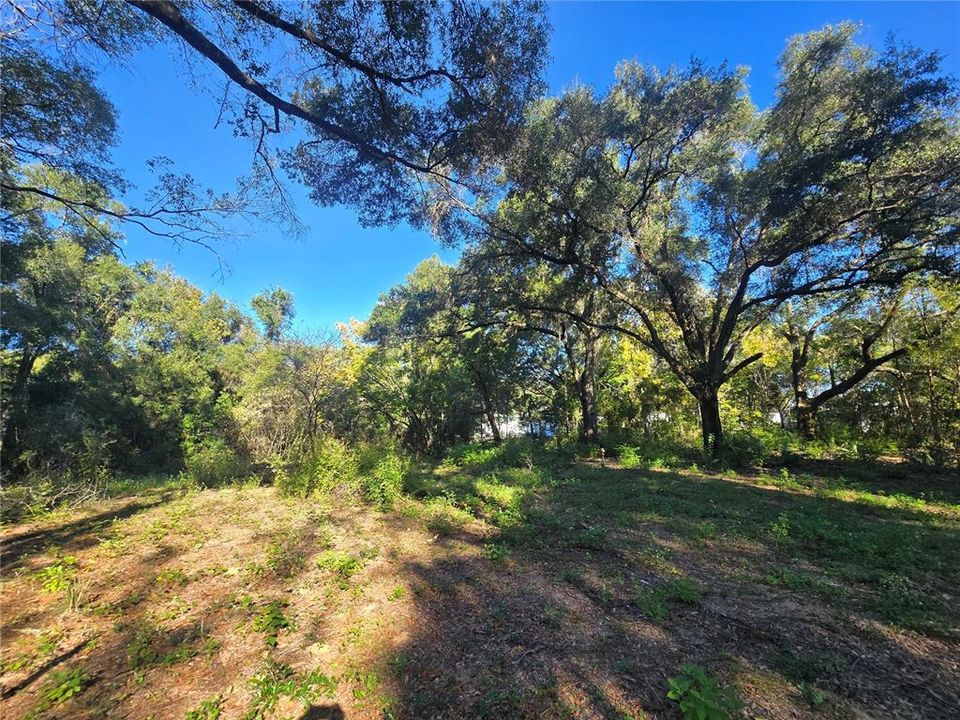 待售: $72,000 (1.00 acres)