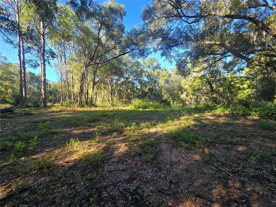 待售: $72,000 (1.00 acres)