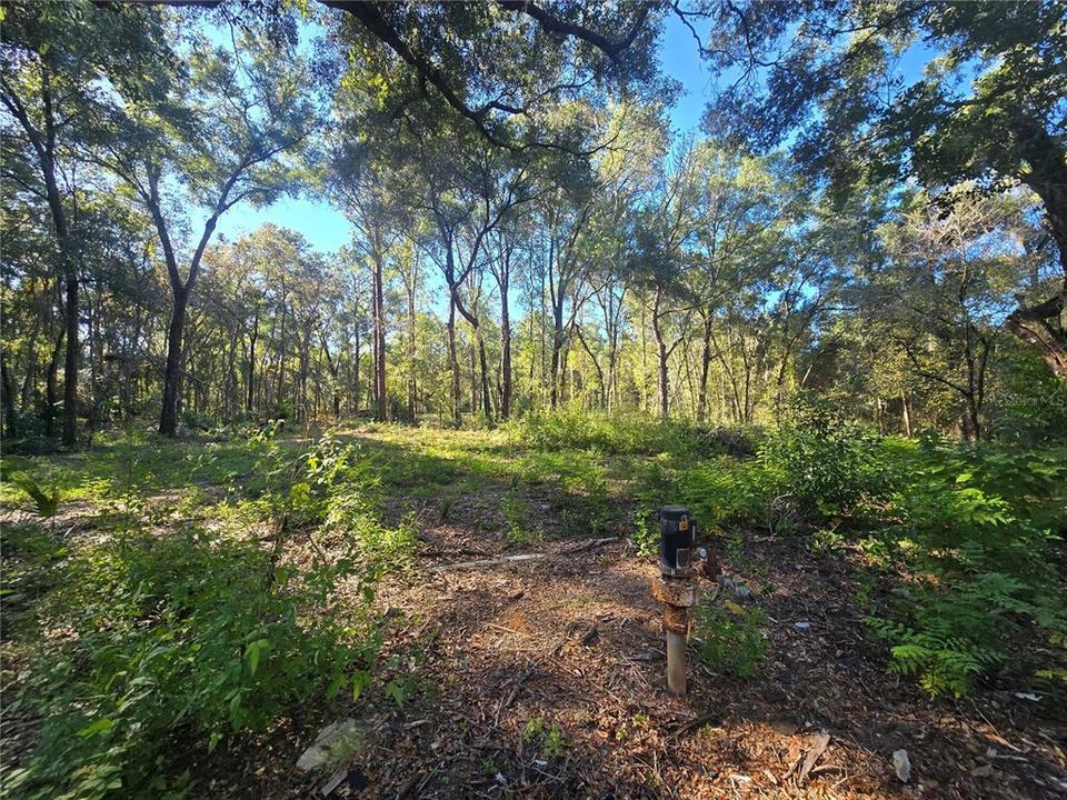 待售: $72,000 (1.00 acres)