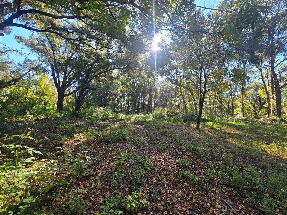 待售: $72,000 (1.00 acres)