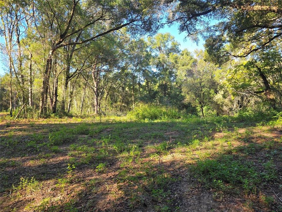 待售: $72,000 (1.00 acres)