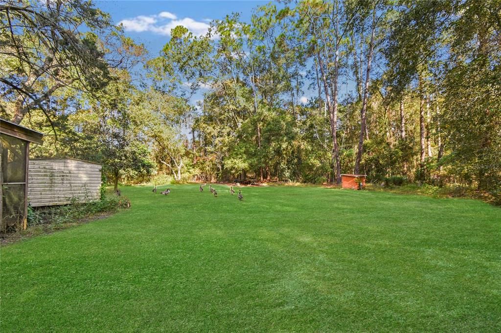 待售: $349,999 (1.07 acres)