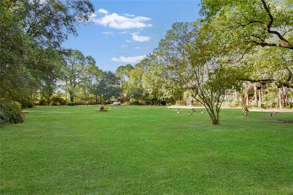 待售: $349,999 (1.07 acres)