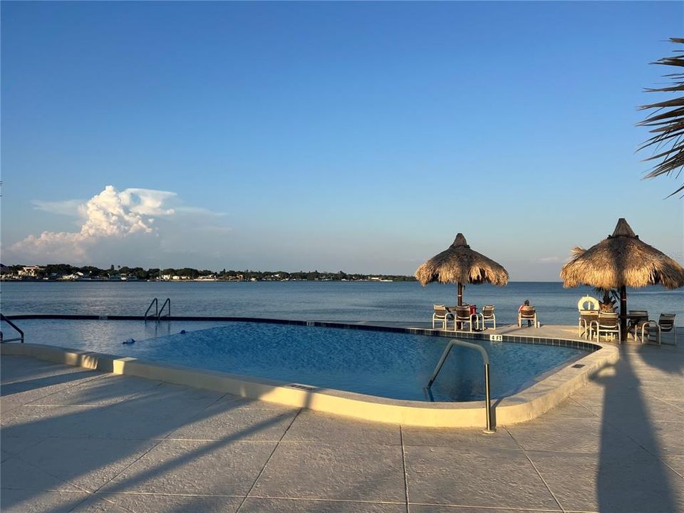 出租: $2,850 (1 贝兹, 1 浴室, 900 平方英尺)