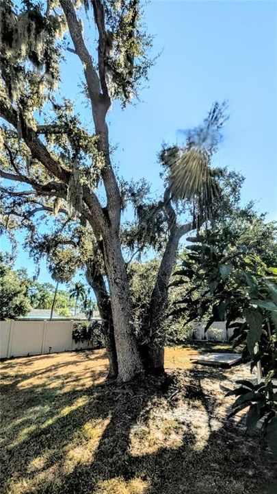 Active With Contract: $2,500 (3 beds, 2 baths, 1344 Square Feet)