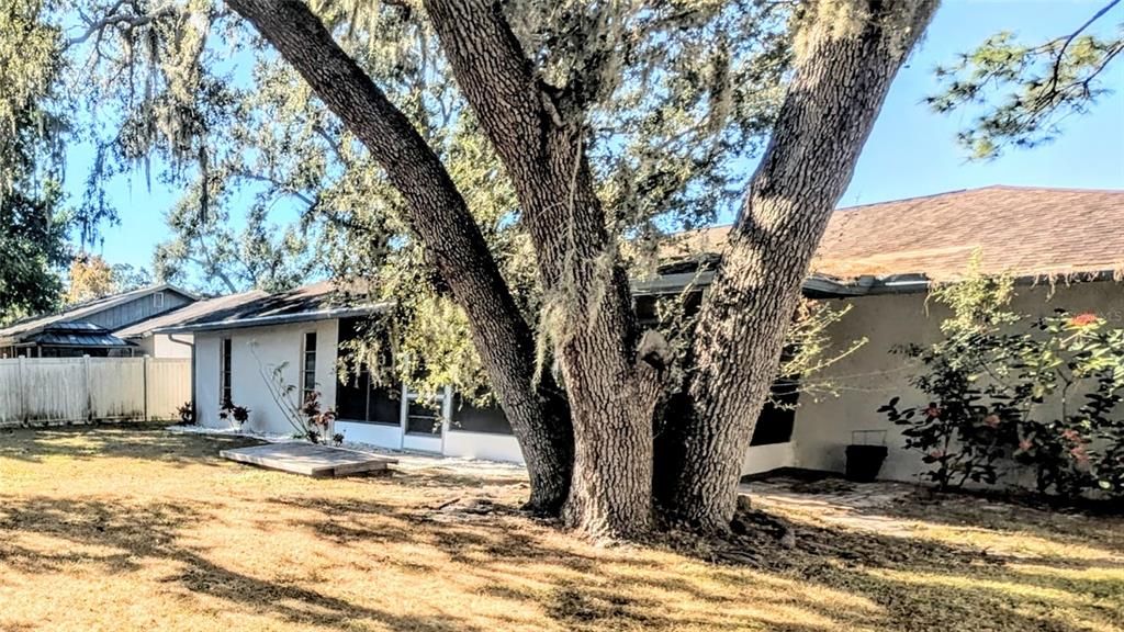 Active With Contract: $2,500 (3 beds, 2 baths, 1344 Square Feet)