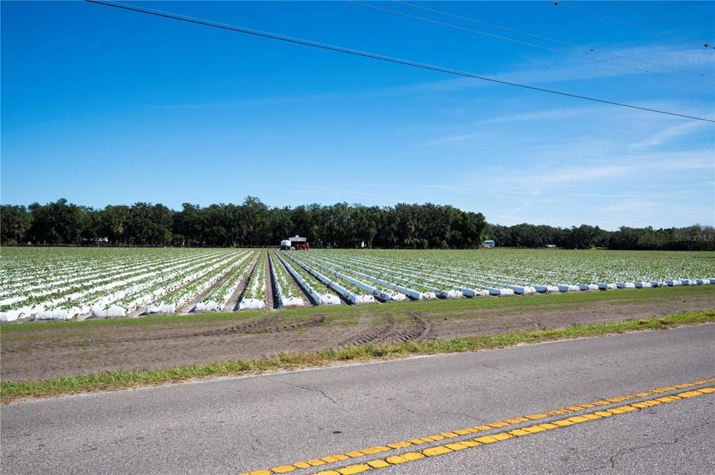 合同活跃: $315,000 (4 贝兹, 2 浴室, 1500 平方英尺)