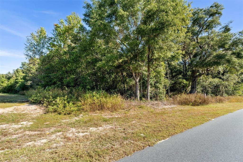 For Sale: $295,900 (2.61 acres)