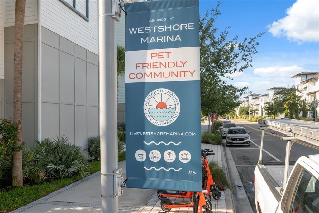 В аренду: $2,500 (2 спален, 2 ванн, 1190 Квадратных фут)