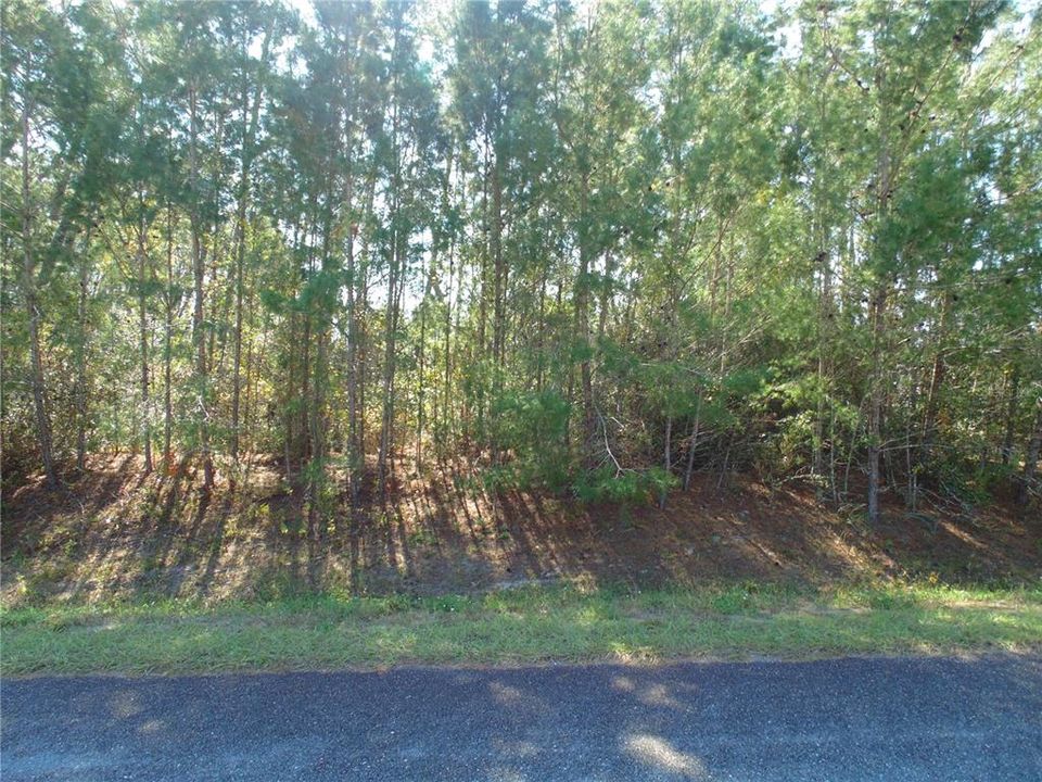 For Sale: $70,000 (0.62 acres)