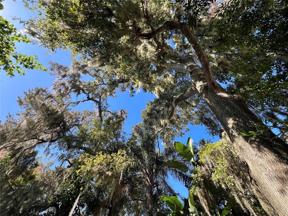 В аренду: $3,000 (3 спален, 2 ванн, 1560 Квадратных фут)