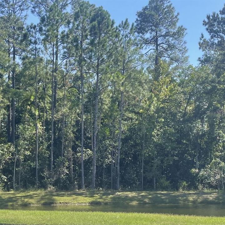 待售: $425,000 (4 贝兹, 2 浴室, 2080 平方英尺)