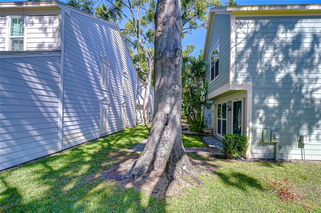 Active With Contract: $190,000 (2 beds, 1 baths, 896 Square Feet)