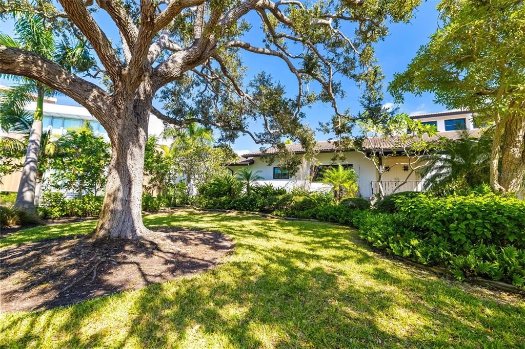 For Sale: $8,700,000 (3 beds, 3 baths, 3485 Square Feet)