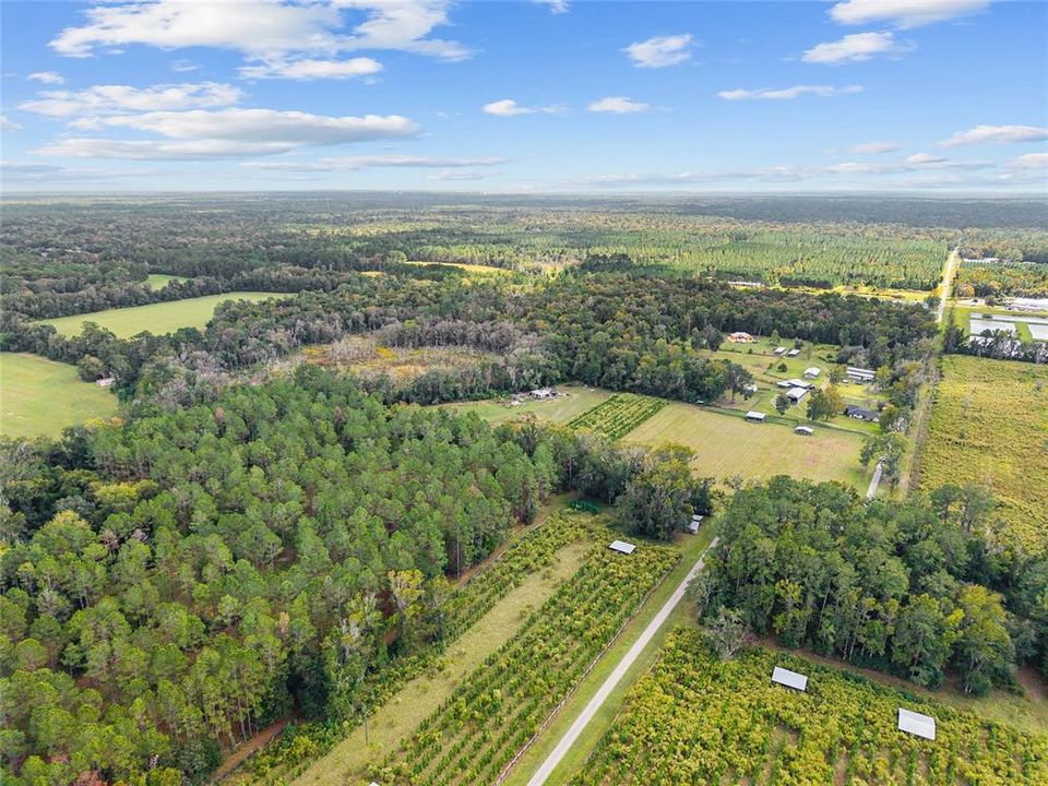 For Sale: $499,000 (17.51 acres)