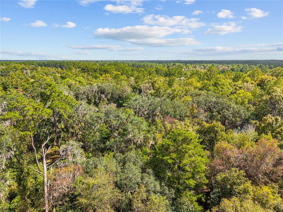 For Sale: $499,000 (17.51 acres)