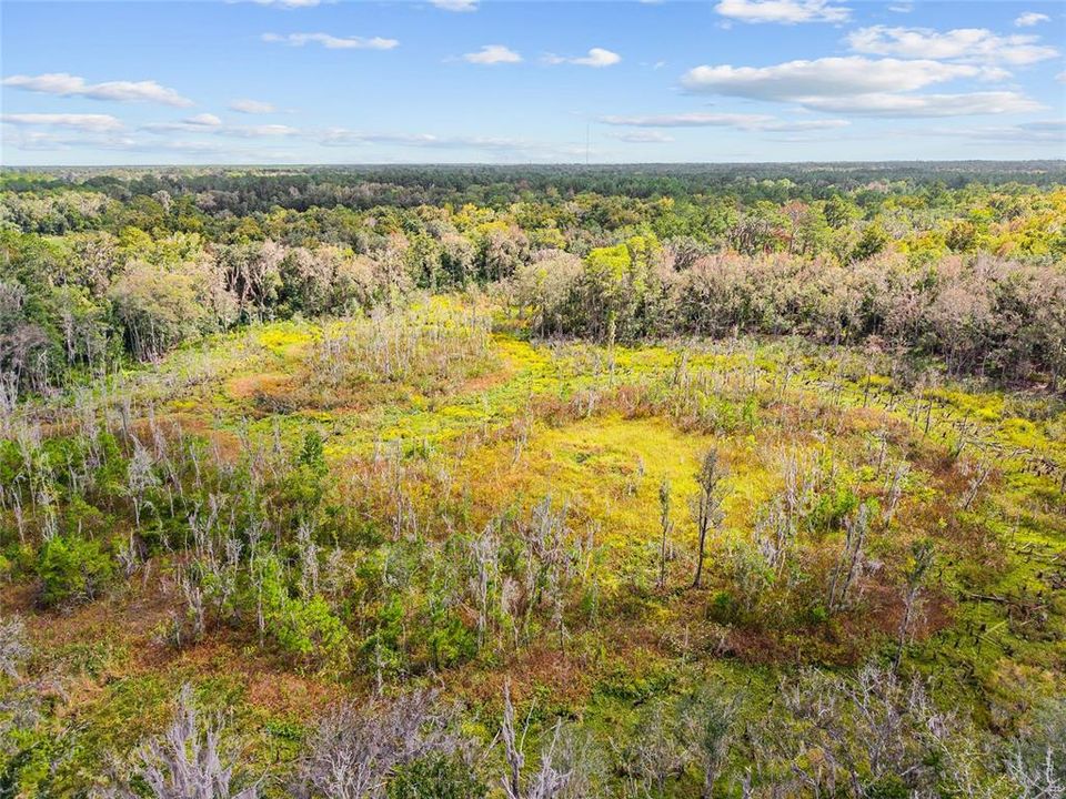 For Sale: $499,000 (17.51 acres)