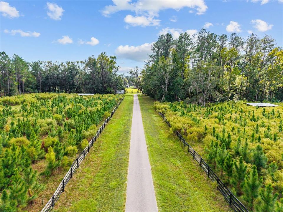 For Sale: $499,000 (17.51 acres)