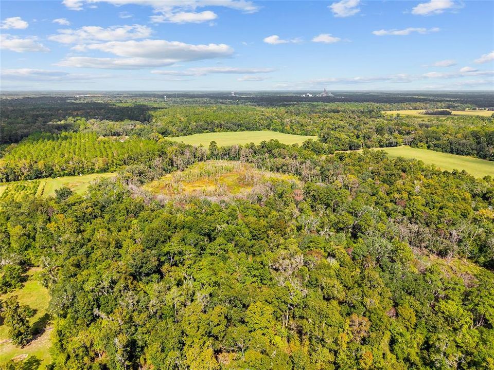 For Sale: $499,000 (17.51 acres)