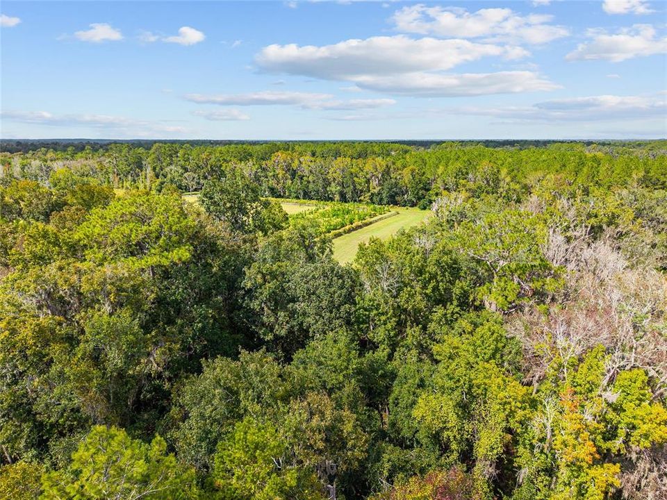 For Sale: $499,000 (17.51 acres)