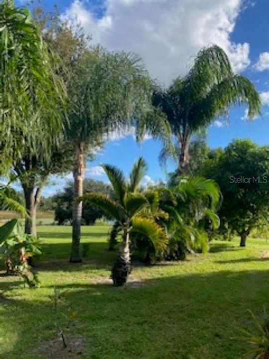 For Sale: $749,000 (3 beds, 3 baths, 2524 Square Feet)