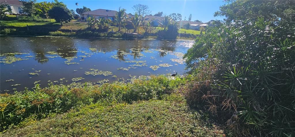 合同活跃: $249,900 (3 贝兹, 2 浴室, 1320 平方英尺)